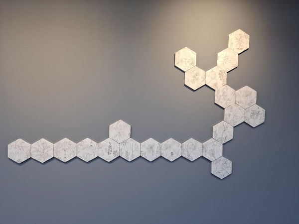 Jeanne Susplugas, Plantes toxiques , 2023