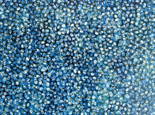 Daniel Orson Ybarra, aqua serie (jungle), 2014