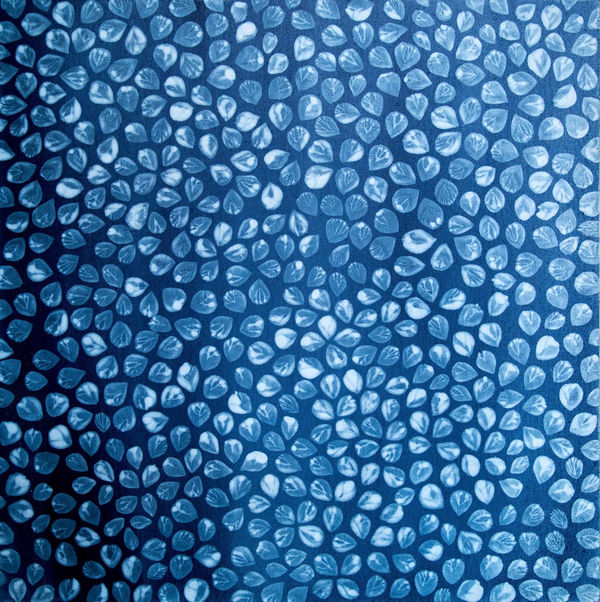 Daniel Orson Ybarra, aqua serie (silky mat), 2014