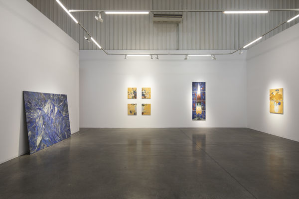 Hamra Abbas, COLOR | GARDEN, Installation view, Lawrie Shabibi, Dubai, 2022