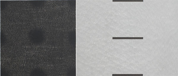 Ingrid Ledent 英格里德.勒登特, Z.T. 2010 III, 2010