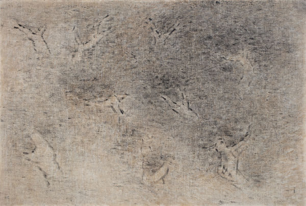 Bian Qing 卞青, Hidden Mountain Collection - July 29th隐山集—七月二十九, 2017