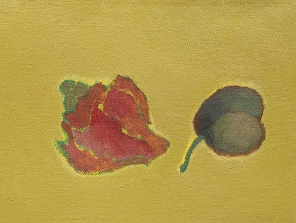 Bian Qing 卞青, Red Conch and Green Lines 紅螺與綠線, 2024