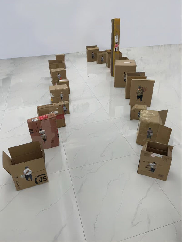 Huang Shuofei 黄朔菲, Probability of Intersection 交集的概率 , 2024