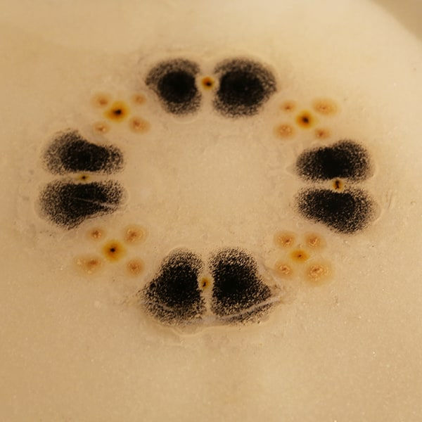 Chen Youtong 陈友桐, Objects of Orders-1 秩序之物-1, 2018