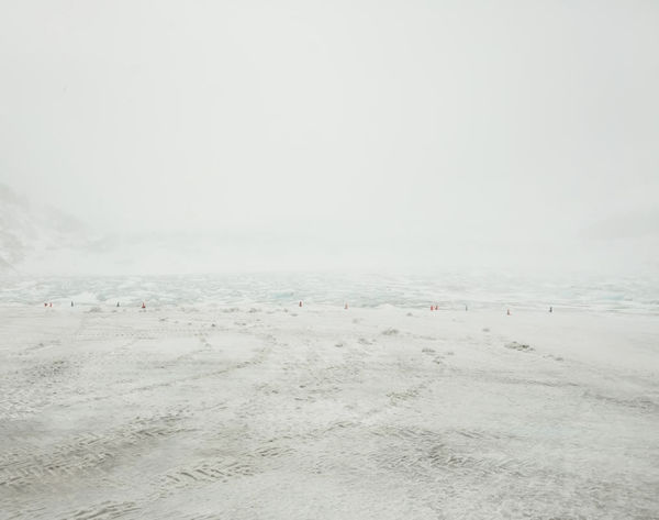 Li Qunli 李群力, Untitled 无题 , 2008