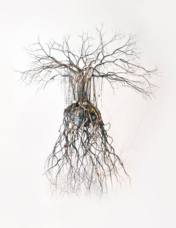 Jorge Mayet 荷亥・梅耶, Roots, 2012
