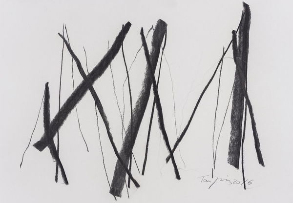 Tan Ping 譚平, Sketch 素描, 2016