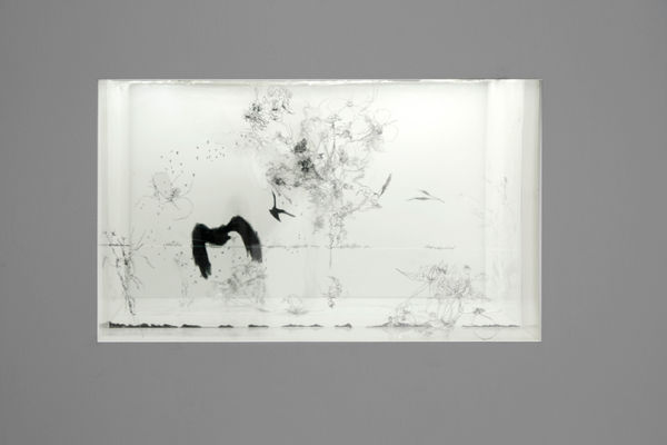 Shen Ruijun 沈瑞筠, Shoal 浅滩, 2016