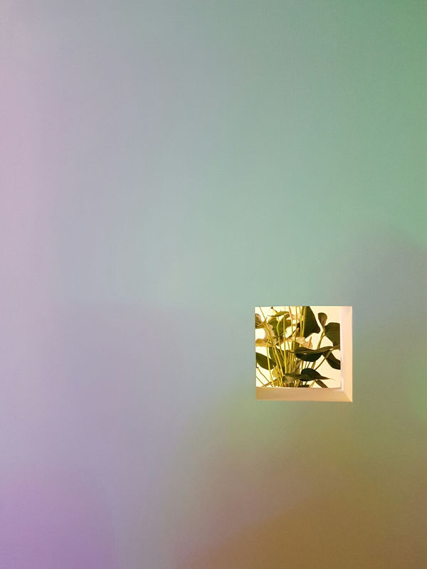 Tang Kai-yiu Frank 鄧啟耀, Small Lives, 2014