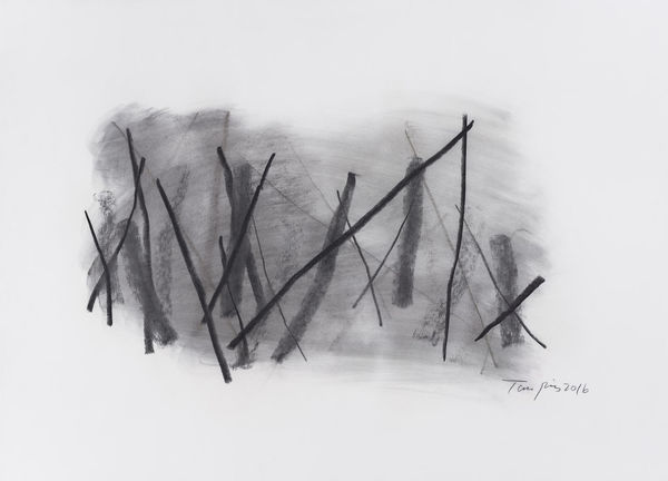 Tan Ping 譚平, Sketch 素描, 2016