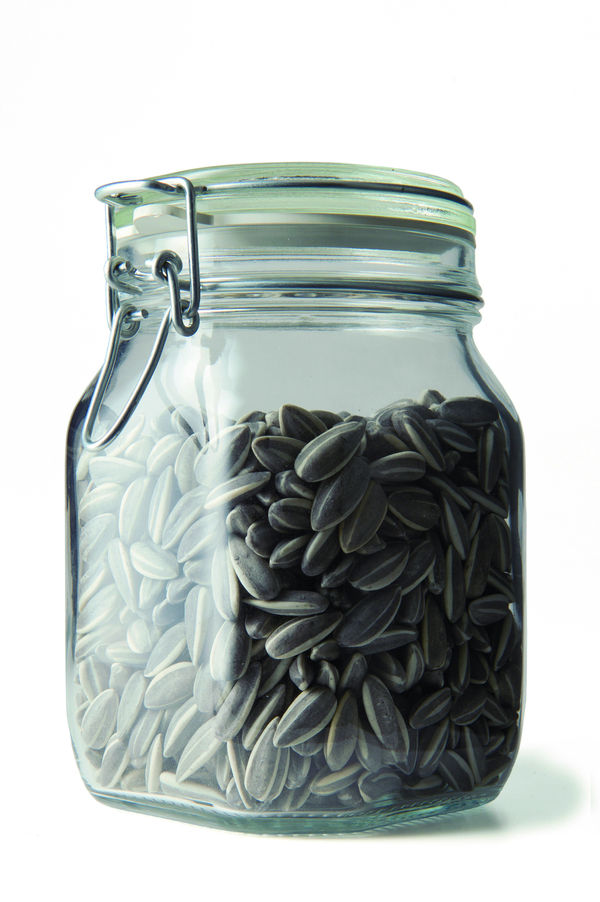 Ai Weiwei, Kui Hua Zi, 2009