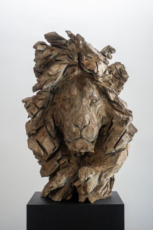 Jürgen Lingl, Stormy (lion)