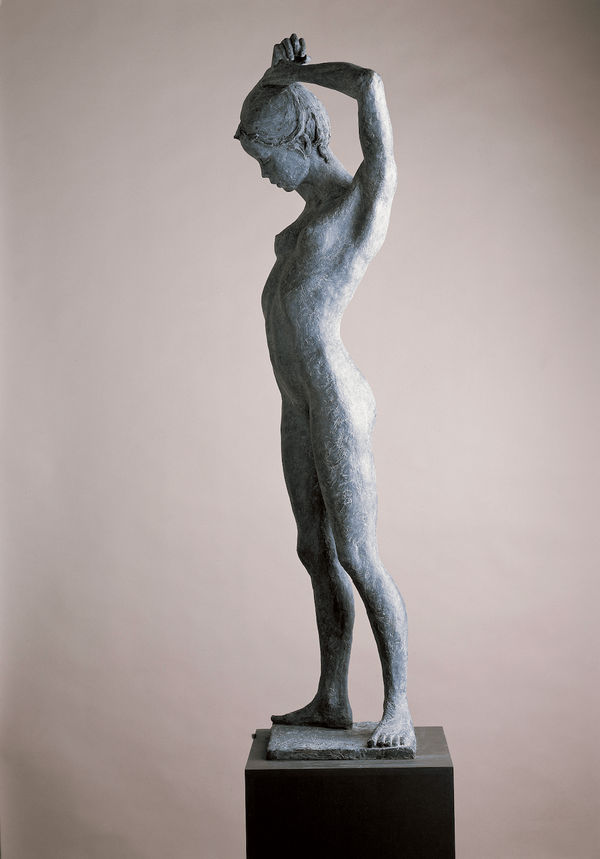 Gis De Maeyer, Sereen