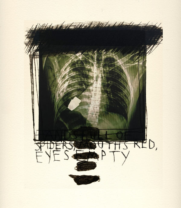 Marcus Rees Roberts, Red Marble, Wild Flowers 4, 2024