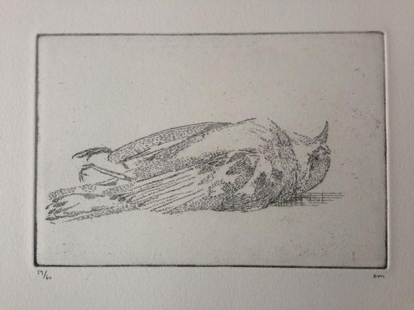 Alexander Massouras, Then he started to notice the dead birds (The Invisible Land 3), 2013