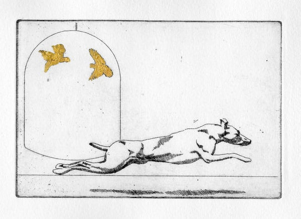 Alexander Massouras, and then his parakeets, Myrtle and Mae (The Gilderbook 8), 2011