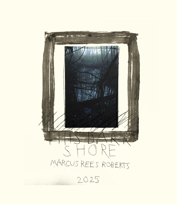 Marcus Rees Roberts, This Dark Shore Title, 2025
