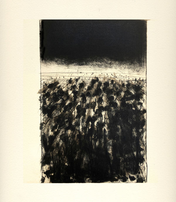 Marcus Rees Roberts, Red Marble, Wild Flowers 17, 2024