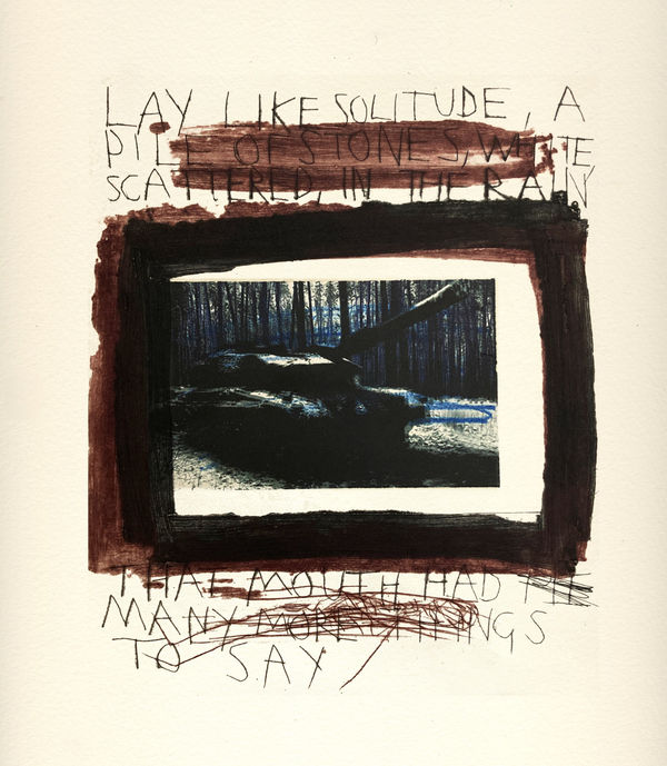 Marcus Rees Roberts, Red Marble, Wild Flowers 6, 2024