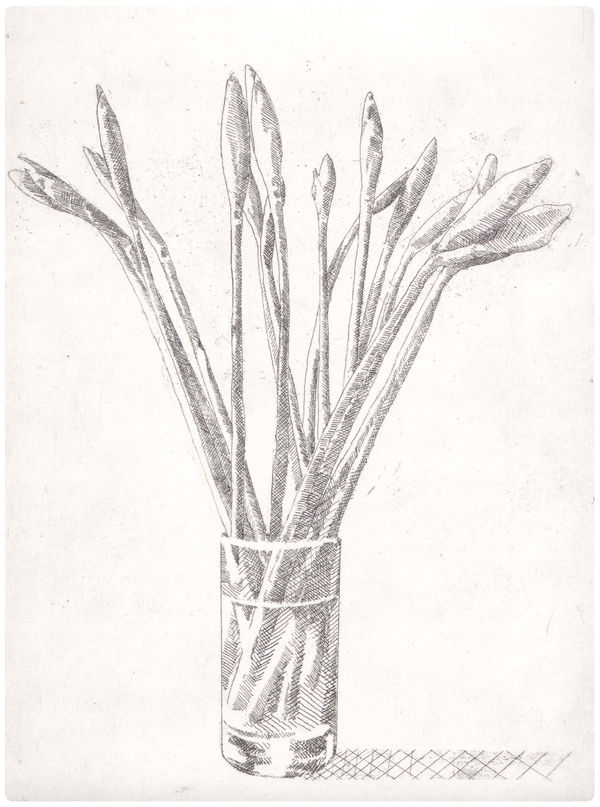 Alexander Massouras, Daffodils, 2022