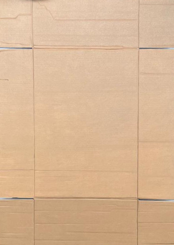 Santiago Cárdenas, Caja de Carton , 1984