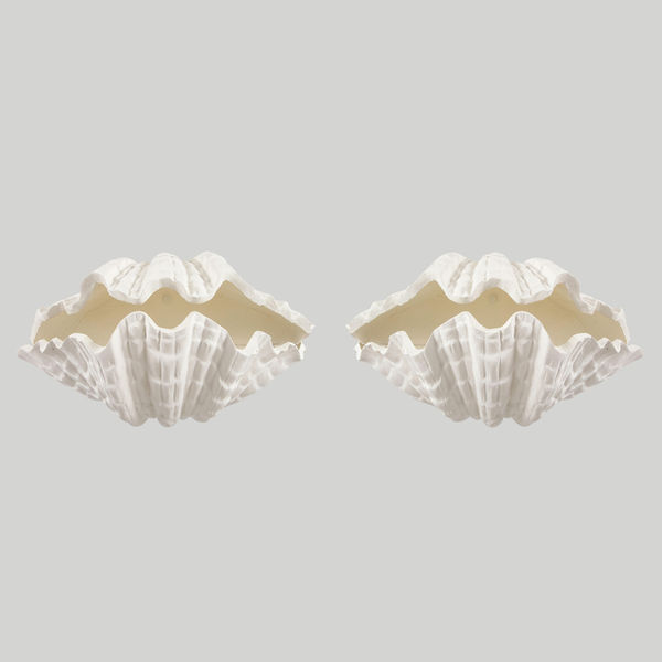 Pair of Custom Coquillage Plaster Sconces