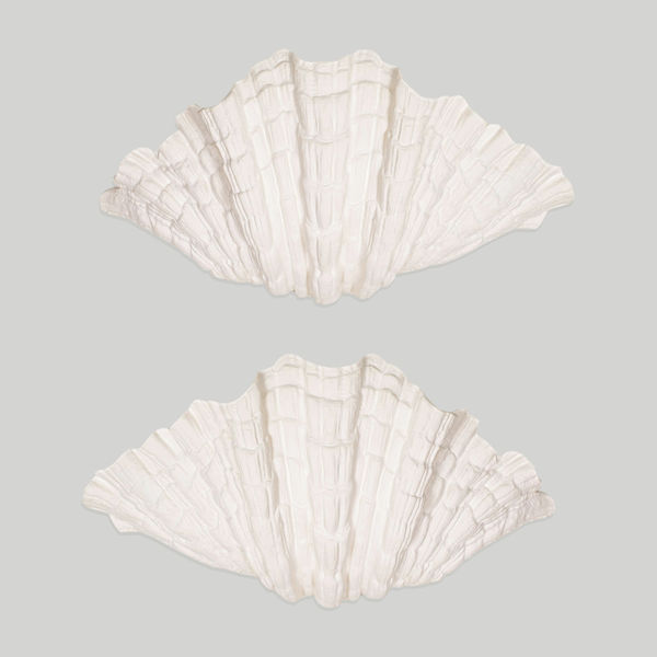 Bespoke Pair of Coquillage Plaster Sconces