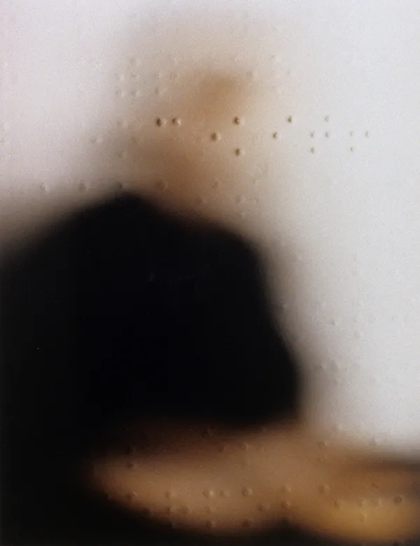 Patrick Tosani, Portrait n°30, 1985