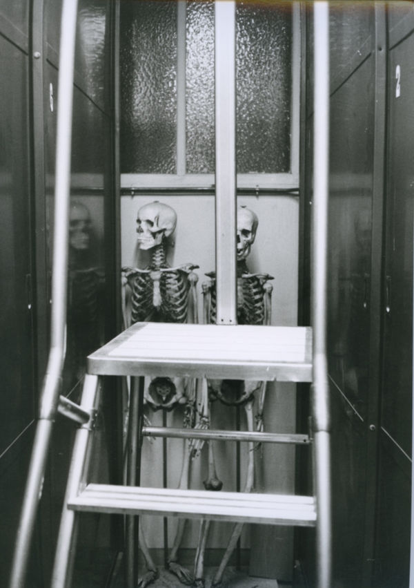 Hervé Guibert Musée de l'Homme, Paris Tirage gélatino-argentique d'époque 17 x 24,2 cm Dim. papier: 17 x 24,2 cm