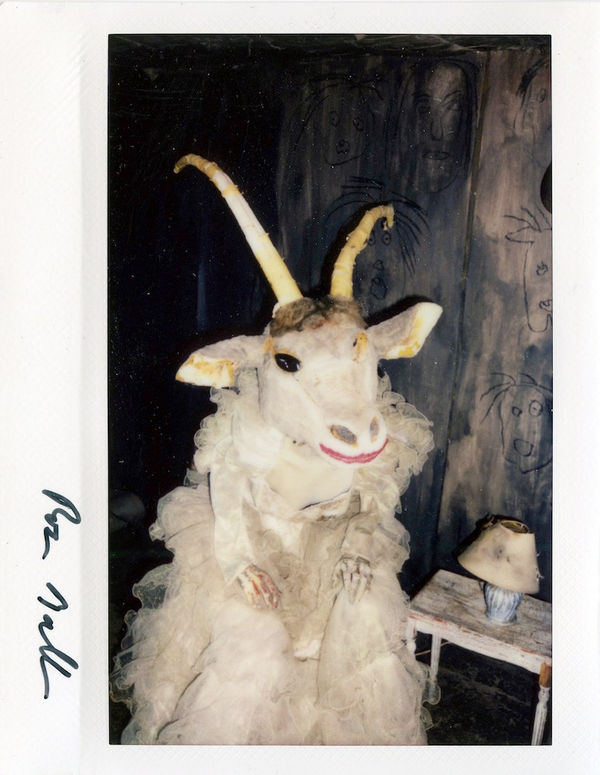 Roger Ballen, Polaroid #28, 2021