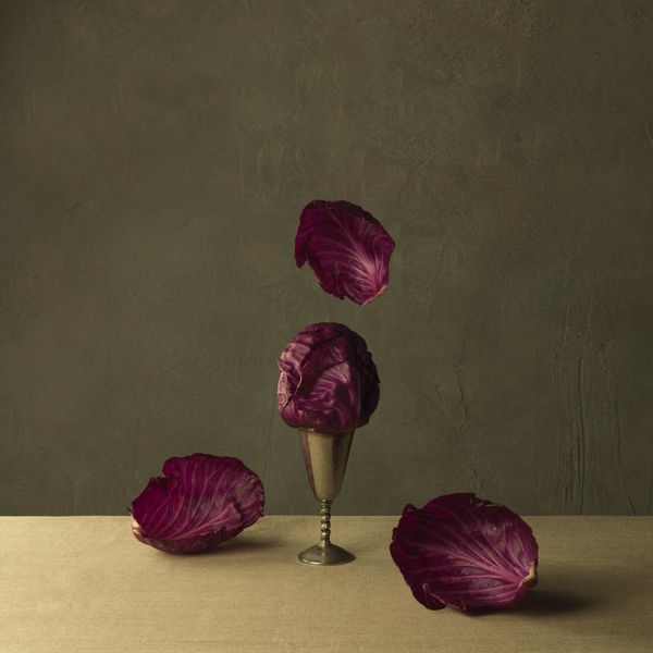 Red Cabbage II
