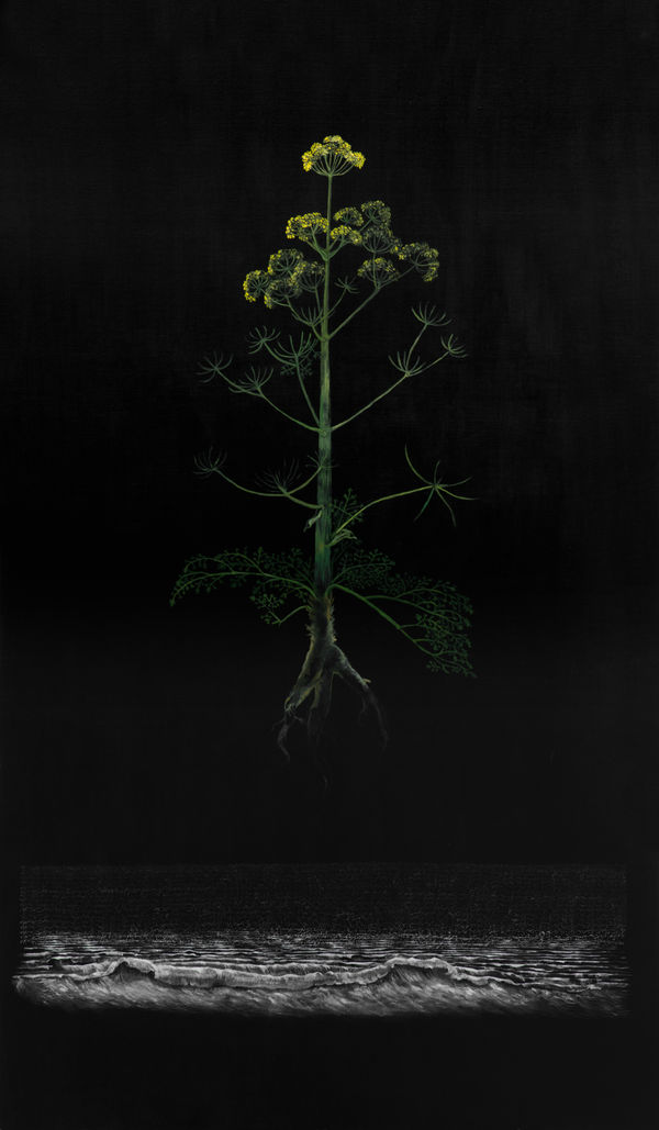 Sui Generis, Tripoli