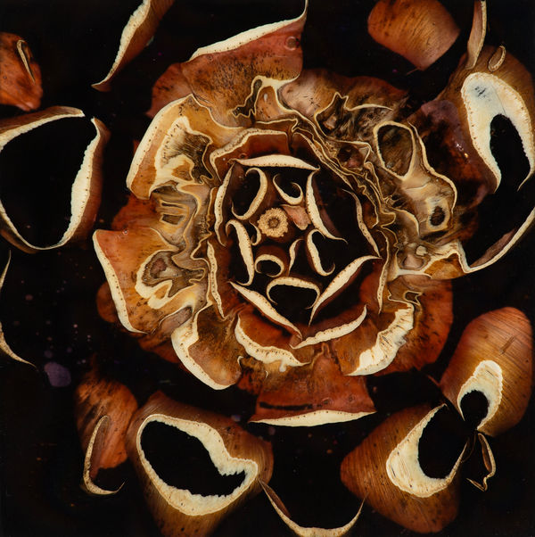 Mayme Kratz, Night Study 32, 2024