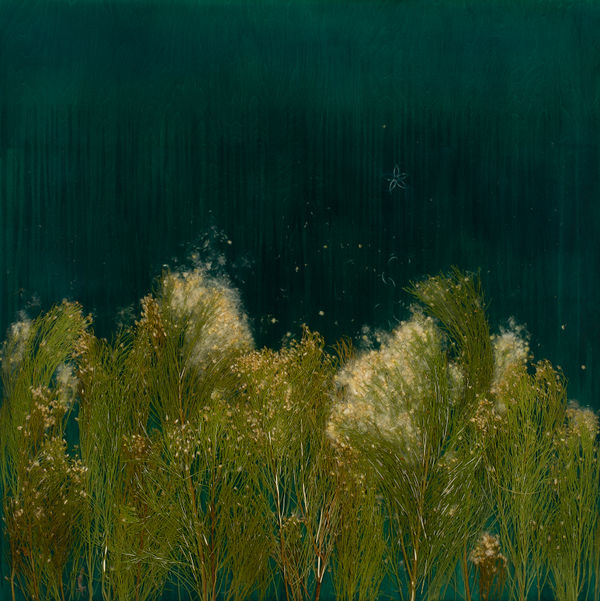 Mayme Kratz, Dark Garden 17, 2025