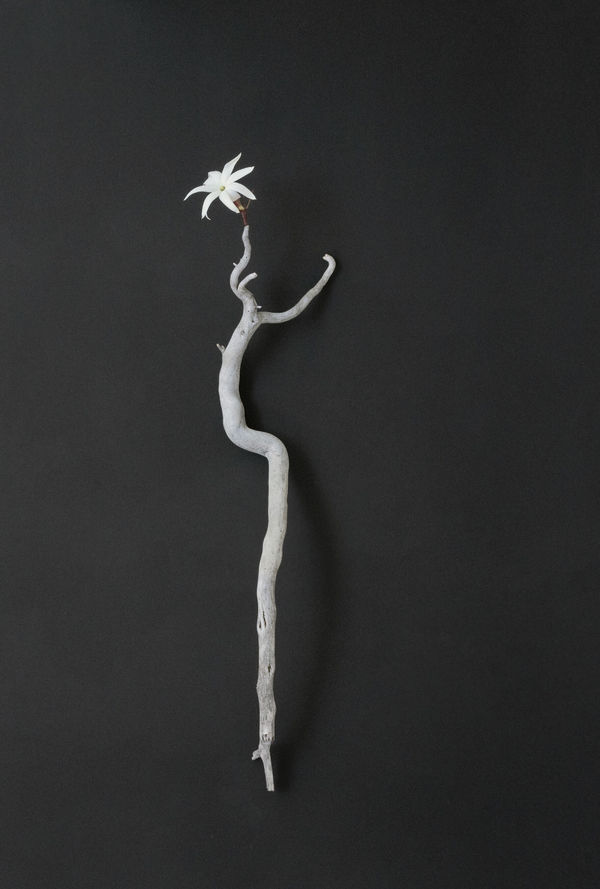 the longing (from "found" series)