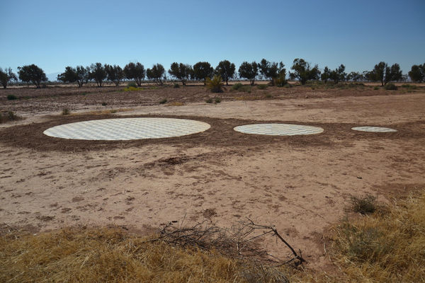 Hicham Benohoud, Untitled, 2018