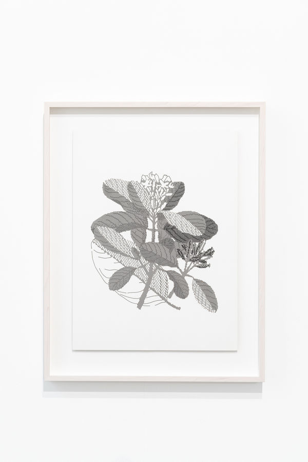 Johanna Calle (42 von 70)