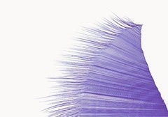 Marile Holzner, aus Serie o.T. (rechts unten), 2021