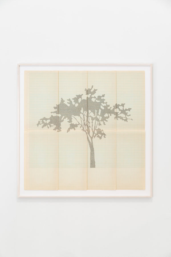 Johanna Calle, Conuco II, 2024