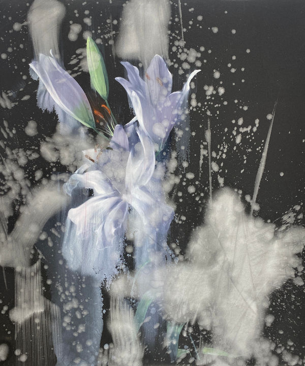 Nick Archer, White Lilies, 2023