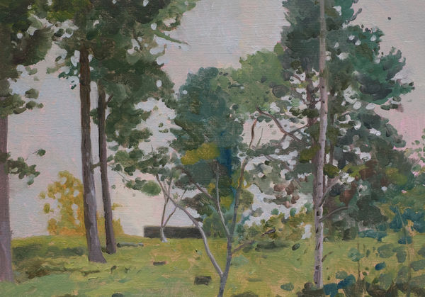 Mark Entwisle, Trees, 2022