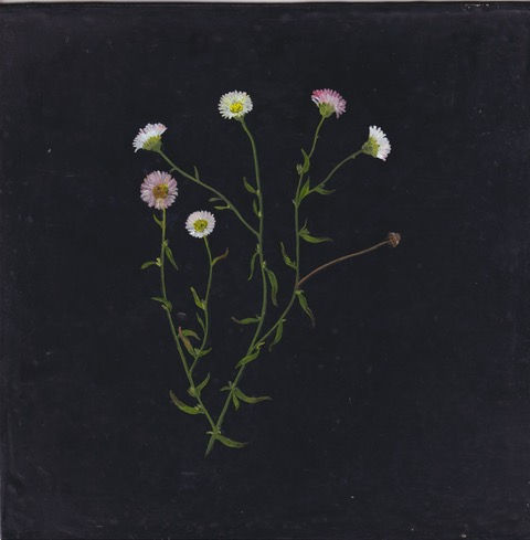 Melanie Miller, Eridgeron III