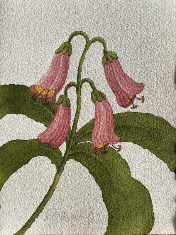 Ramiro Fernandez Saus, Flower I , 2022