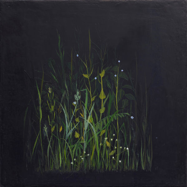 Melanie Miller, Nocturnal, 2020