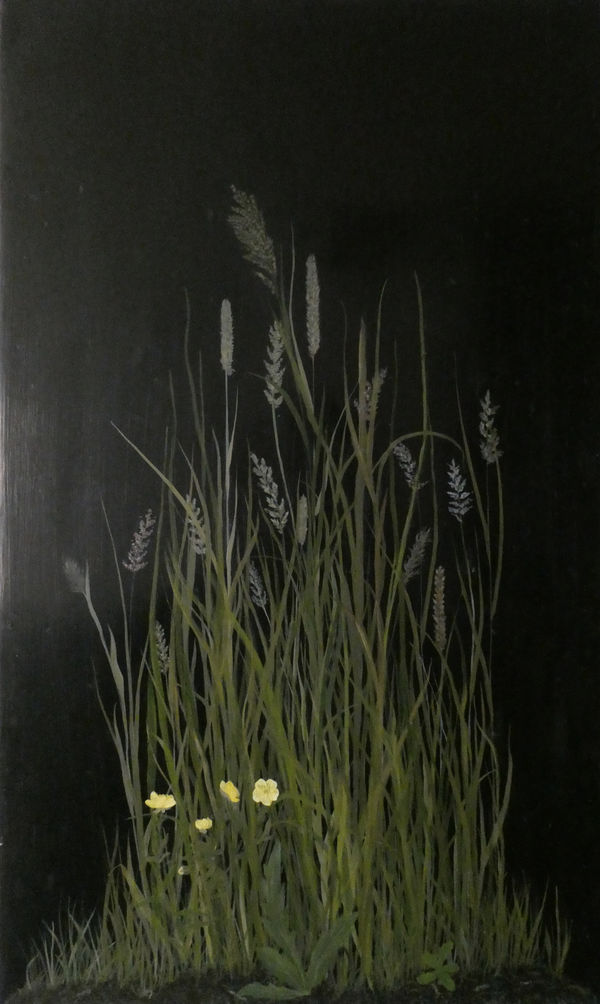 Melanie Miller, Meadow Buttercups, 2020