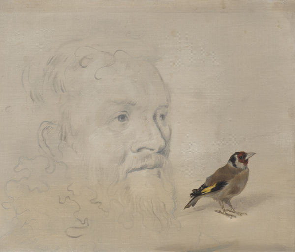 Derrick Guild, Natural History VI,, 2021