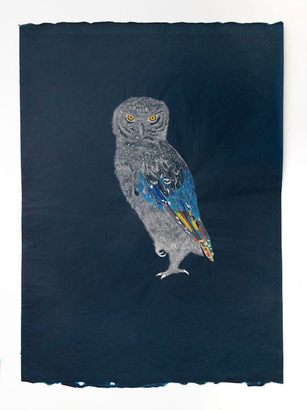 Valerie Hammond Rainbow Owl, 2024
