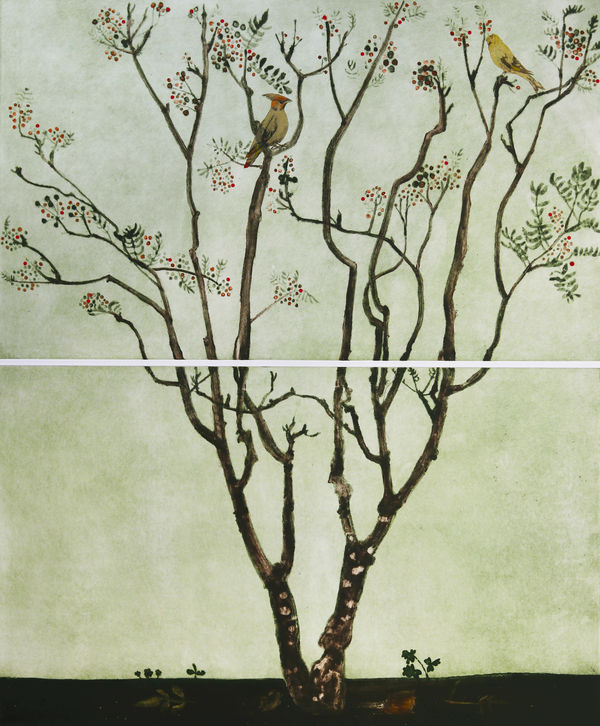 Cliona Doyle Rowan, 2025