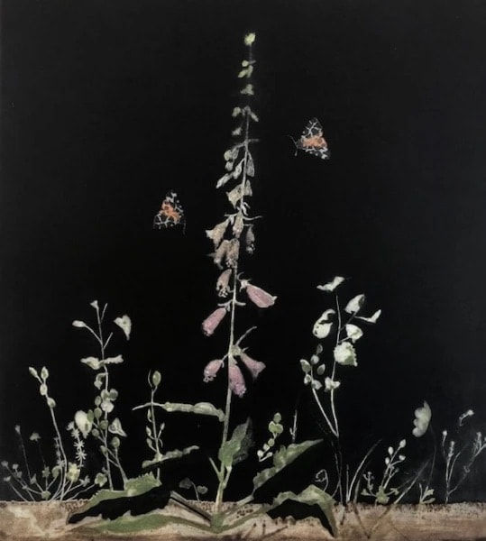 Cliona Doyle Black Foxglove, 2023